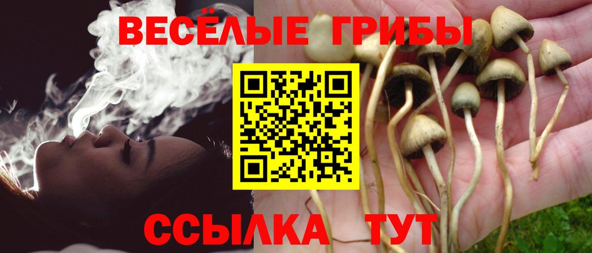 Кировск  Галлюциногенные грибы мицелий  Вход с VPN 