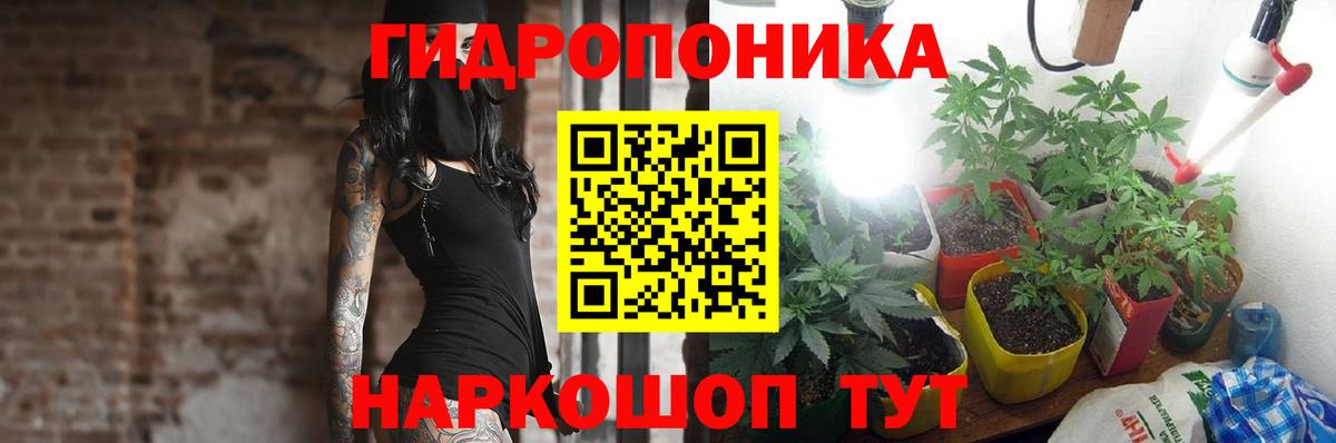 Канабис Ganja  Вход с VPN  Марихуана планчик  Каннабис Bruce Banner  Кировск 